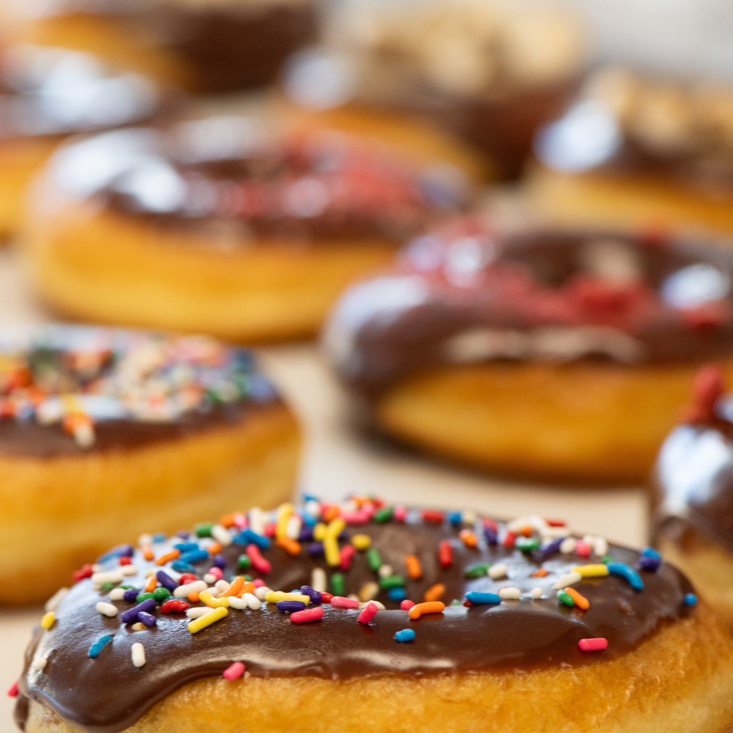 Dozen Donuts